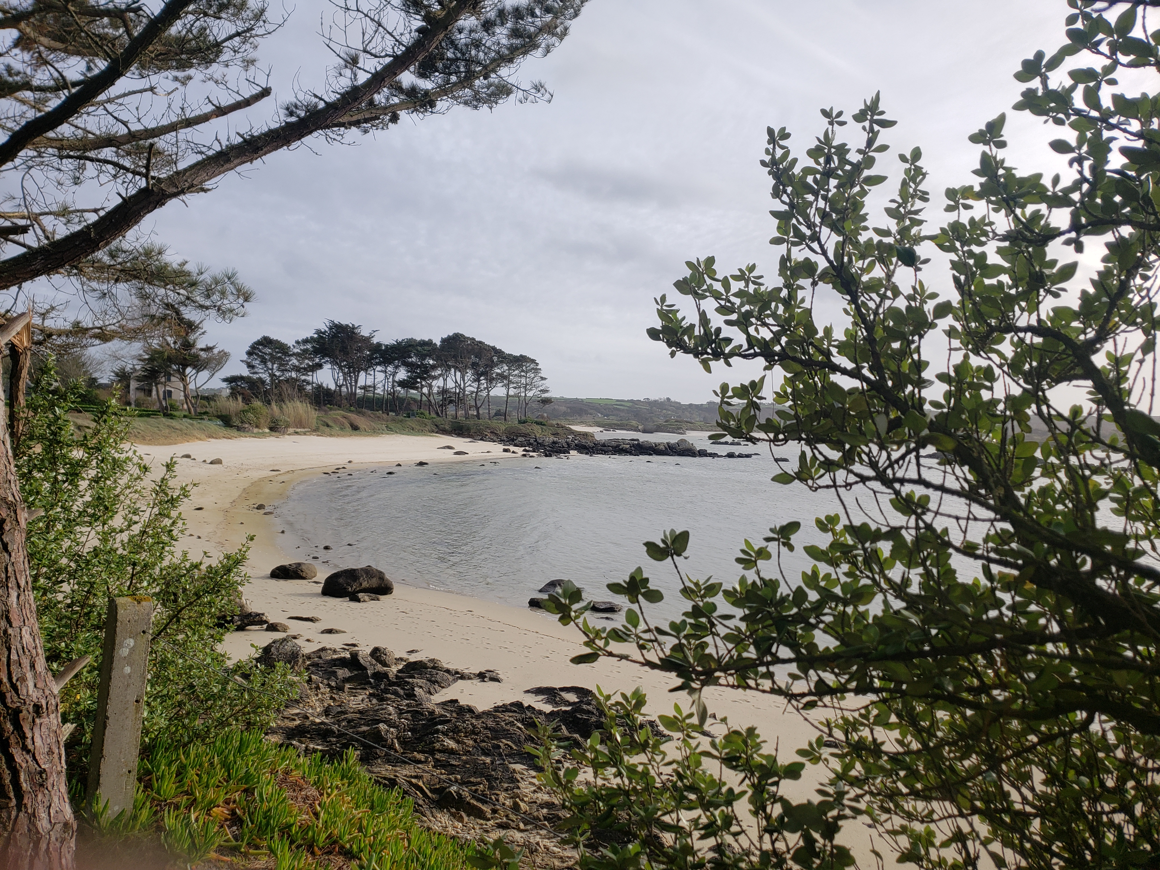 Vue du sentier de randonnée.jpg